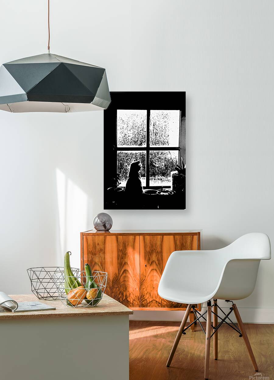 quel temps fait il dehors  Reproduction