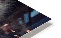 panda HD Metal print