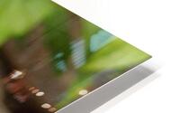 cameleon HD Metal print