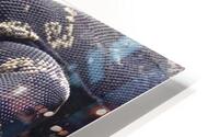 varan HD Metal print