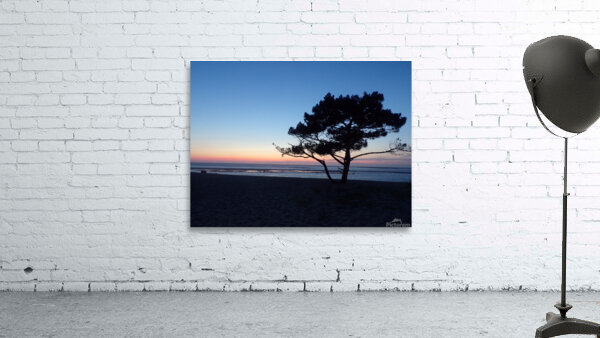 Dune du Pyla Wall Preview