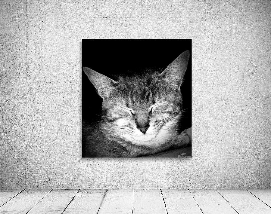 petite sieste Wall Preview