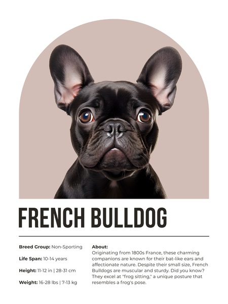 French Bulldog Informative Poster Digital Download