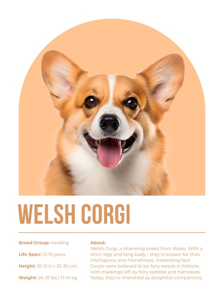 Welsh Corgi Informative Poster Digital Download
