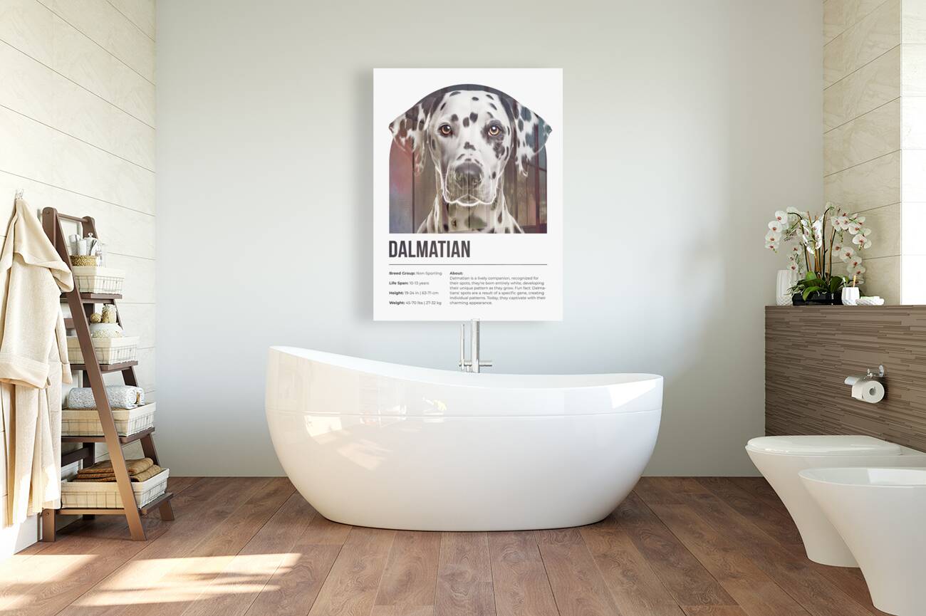 Dalmatian Informative Poster Reproduction