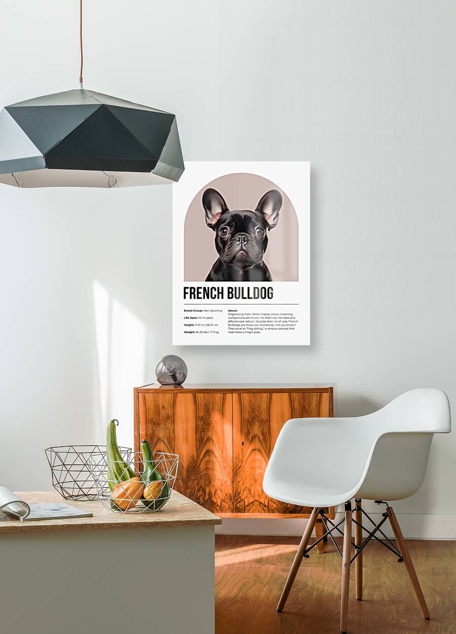 French Bulldog Informative Poster Reproduction