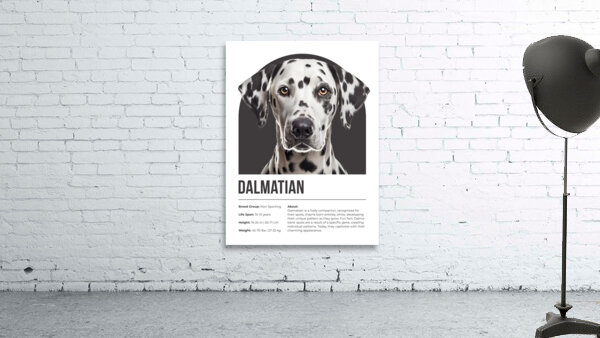 Dalmatian Informative Poster Wall Preview