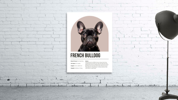 French Bulldog Informative Poster Wall Preview