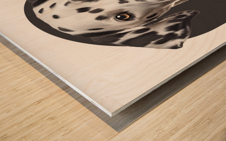 Dalmatian Informative Poster Wood print