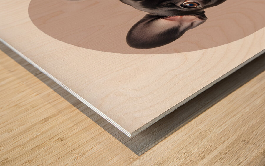 French Bulldog Informative Poster Wood print