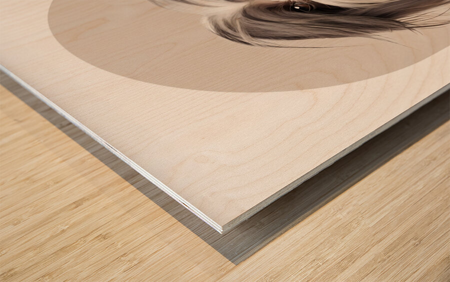 Havanese Informative Poster Wood print