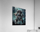 Diablo 10 Acrylic Print