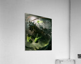 Diablo 17 Acrylic Print