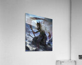 Diablo 22 Acrylic Print
