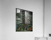 Diablo 37 Acrylic Print
