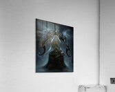 Diablo 3 Acrylic Print