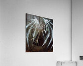 Diablo 11 Acrylic Print