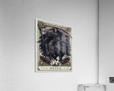 Diablo 35 Acrylic Print