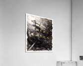 Diablo 19 Acrylic Print