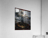 Diablo 25 Acrylic Print
