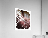 Diablo 30 Acrylic Print