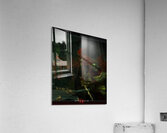 Diablo 40 Acrylic Print