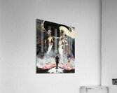 Expedition 33 31 Acrylic Print