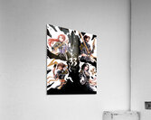 Expedition 33 38 Acrylic Print