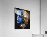 Path of Exile 21 Acrylic Print