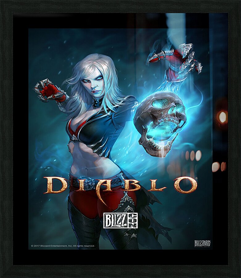 Diablo 40 Picture Frame print
