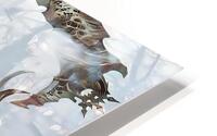 Diablo 18 HD Metal print