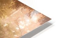 Expedition 33 26 HD Metal print