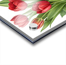 Radiant Red Tulips: A Timeless Floral Elegance 1 Acrylic print
