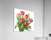 Radiant Red Tulips: A Timeless Floral Elegance 1 Acrylic Print