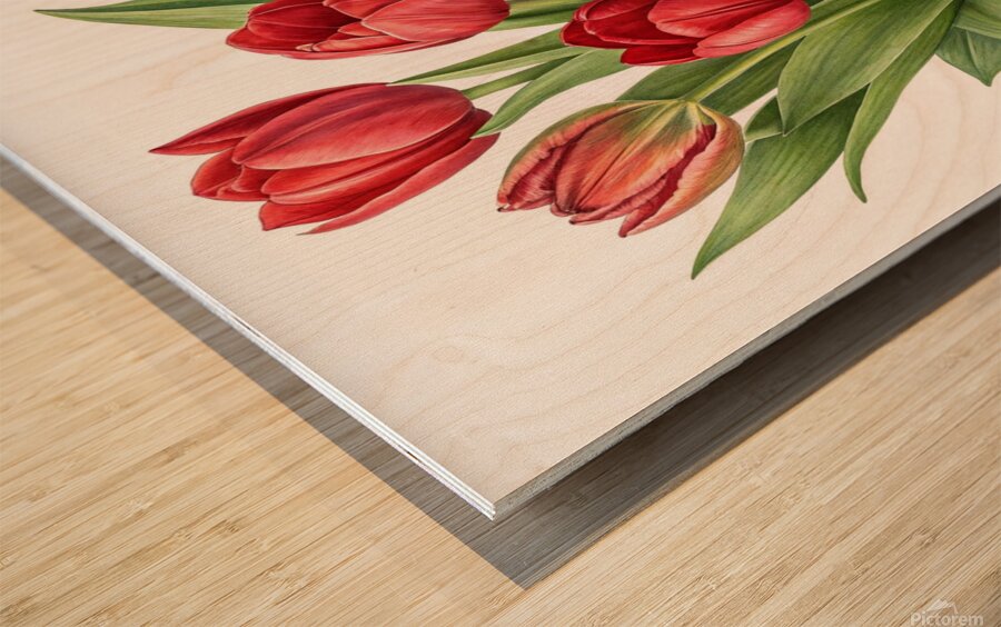 Radiant Red Tulips: A Timeless Floral Elegance 1 Wood print