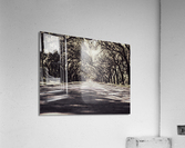 Wormsloe Park Acrylic Print
