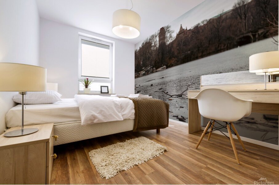 Central Park Chill Mural print
