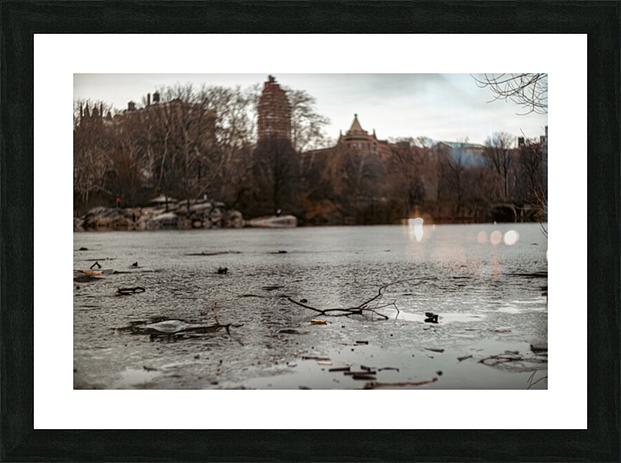 Central Park Chill Picture Frame print
