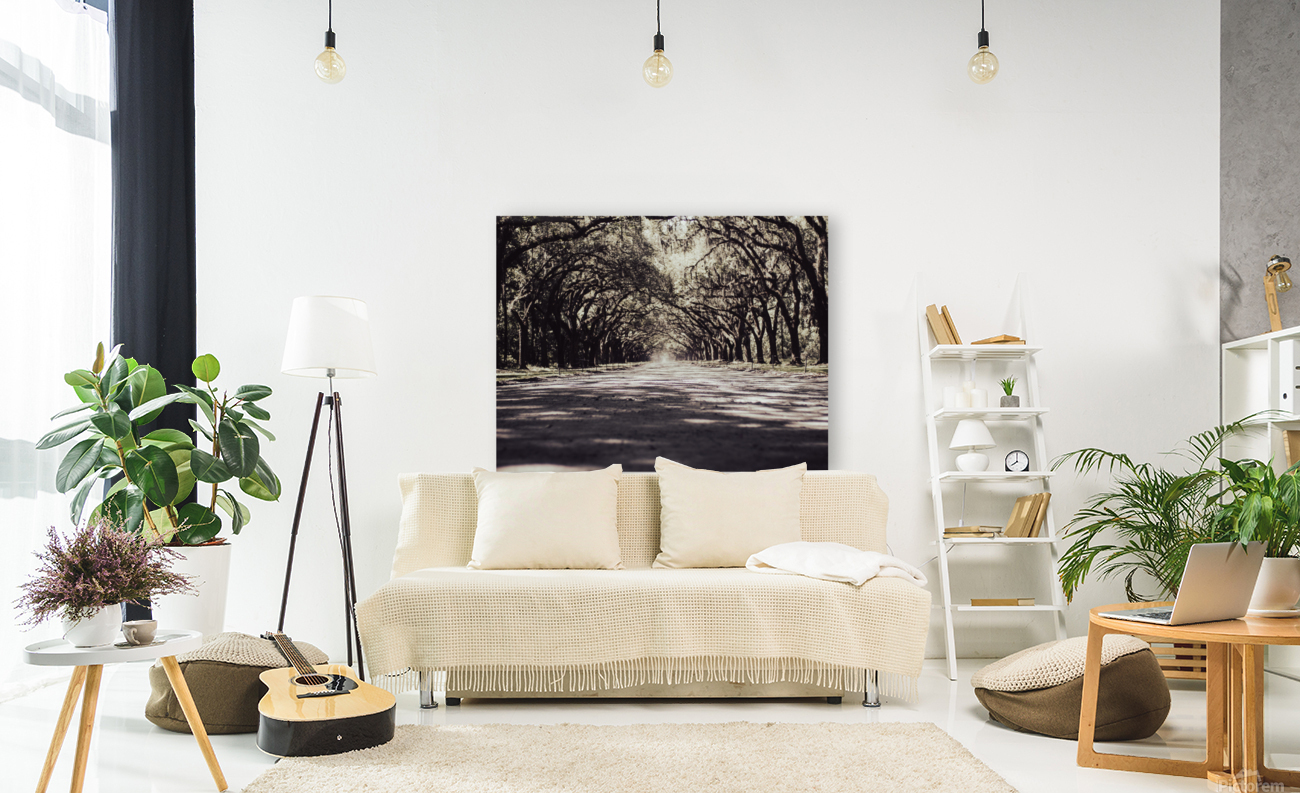 Wormsloe Park Reproduction