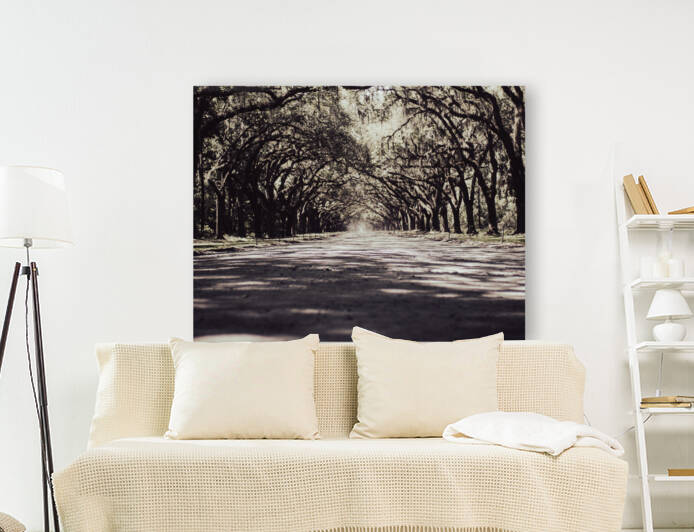 Wormsloe Park by Oliver Khan
