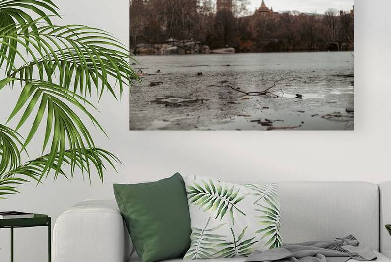 Central Park Chill Reproduction