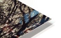 Wormsloe Park HD Metal print