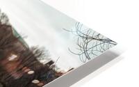 Central Park Chill HD Metal print