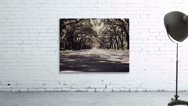 Wormsloe Park Wall Preview