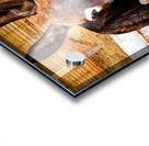 Donkey friends Acrylic print