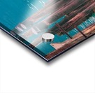 Pilings Acrylic print