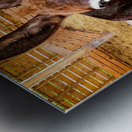 Donkey friends Metal print