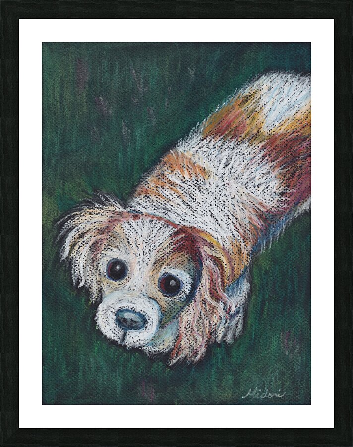 Cavalier Spaniel Picture Frame print