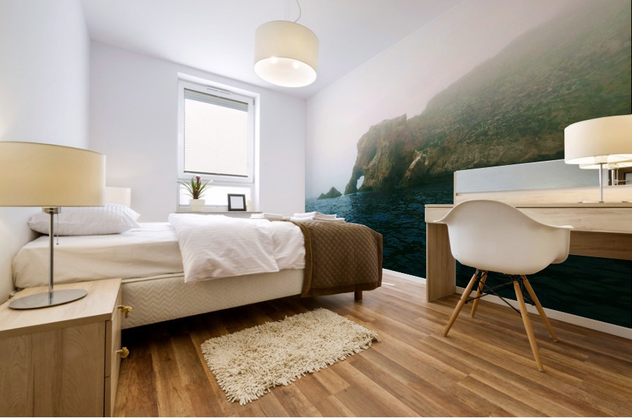 ELEPHANT ROCK Mural print