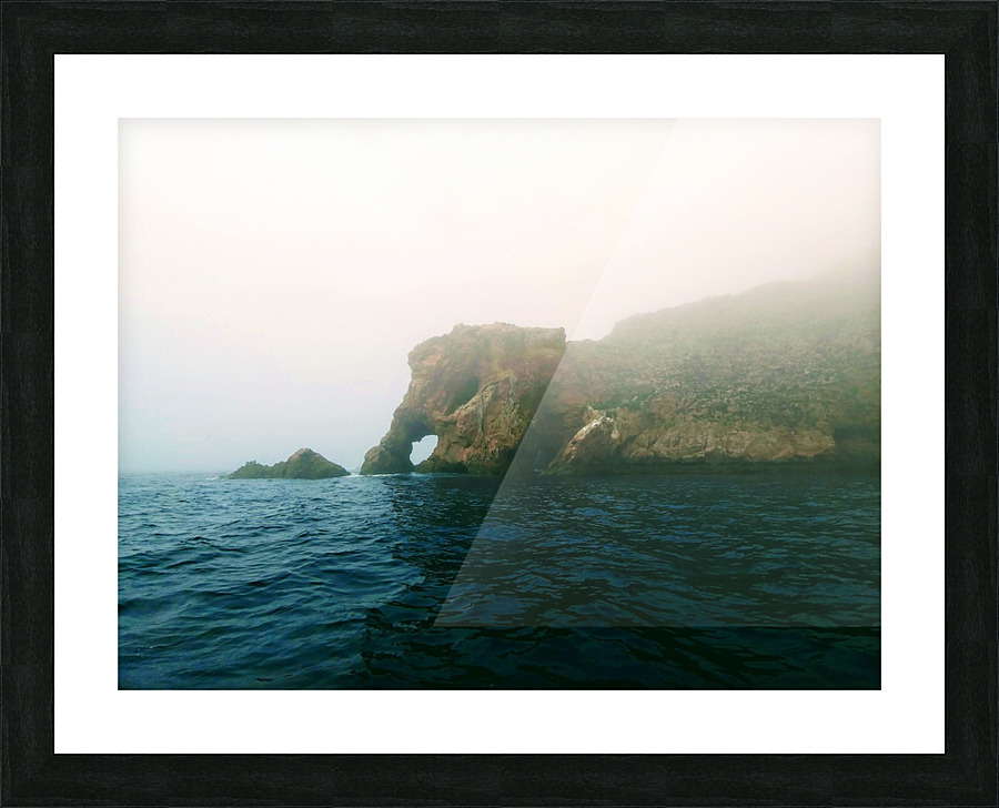 ELEPHANT ROCK Picture Frame print